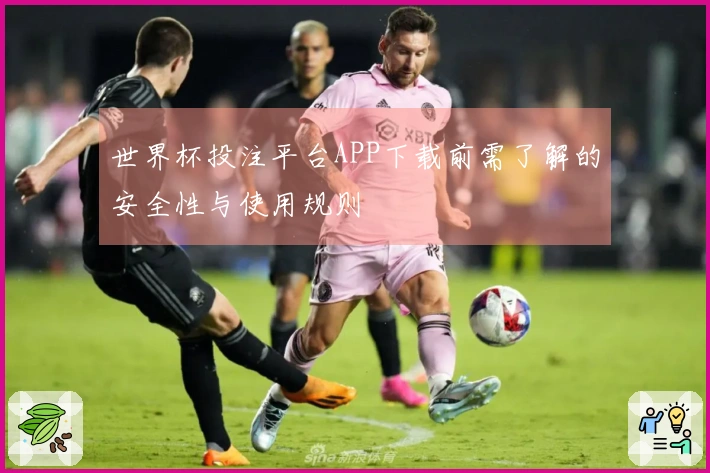 世界杯投注平台APP下载前需了解的安全性与使用规则