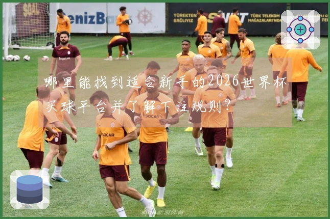 哪里能找到适合新手的2026世界杯买球平台并了解下注规则？