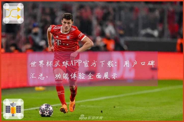世界杯买球APP官方下载：用户口碑汇总，功能体验全面展示