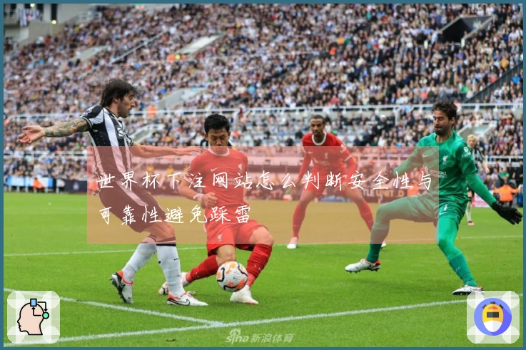 世界杯下注网站怎么判断安全性与可靠性避免踩雷