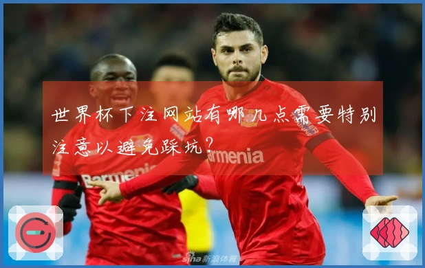 世界杯下注网站有哪几点需要特别注意以避免踩坑？
