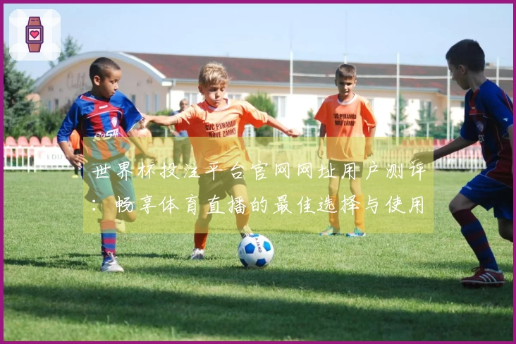 世界杯投注平台官网网址用户测评：畅享体育直播的最佳选择与使用体验分享