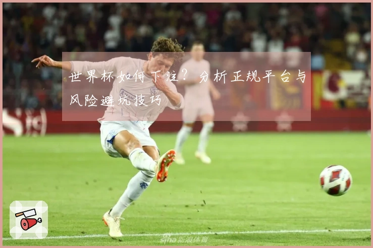 世界杯如何下注？分析正规平台与风险避坑技巧