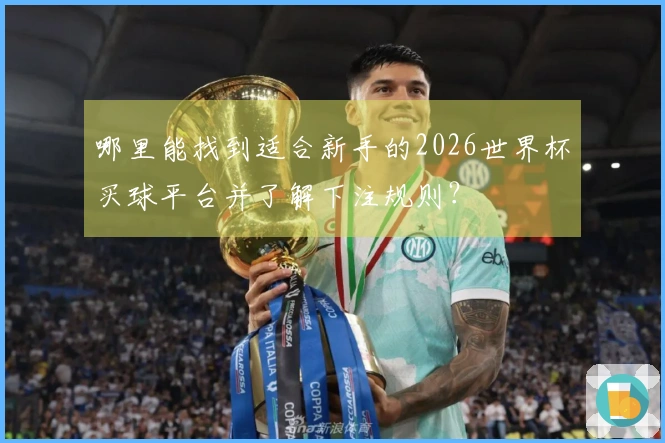 哪里能找到适合新手的2026世界杯买球平台并了解下注规则？