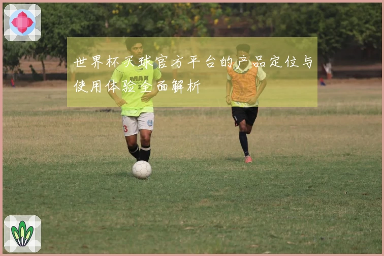 世界杯买球官方平台的产品定位与使用体验全面解析