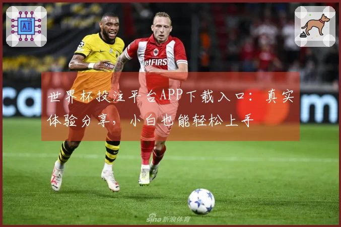 世界杯投注平台APP下载入口：真实体验分享，小白也能轻松上手