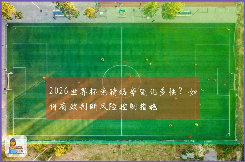 2026世界杯竞猜赔率变化多快?如何有效判断风险控制措施