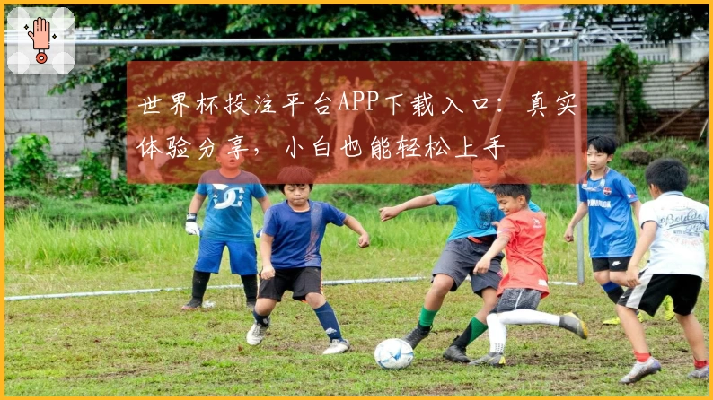 世界杯投注平台APP下载入口：真实体验分享，小白也能轻松上手