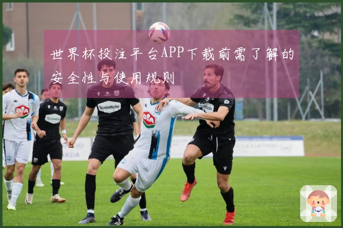 世界杯投注平台APP下载前需了解的安全性与使用规则