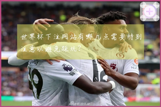 世界杯下注网站有哪几点需要特别注意以避免踩坑？