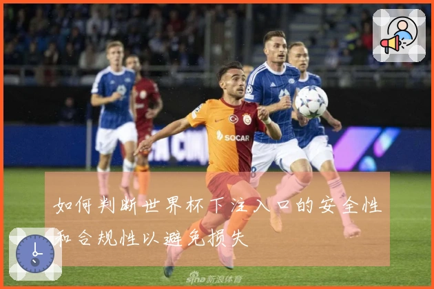 如何判断世界杯下注入口的安全性和合规性以避免损失