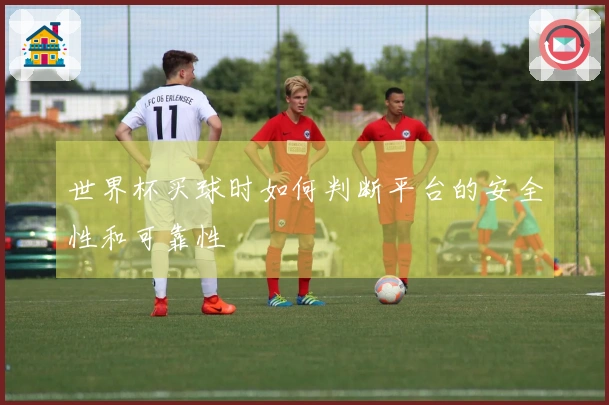 世界杯买球时如何判断平台的安全性和可靠性