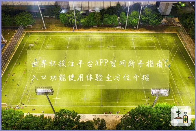 世界杯投注平台APP官网新手指南：入口功能使用体验全方位介绍