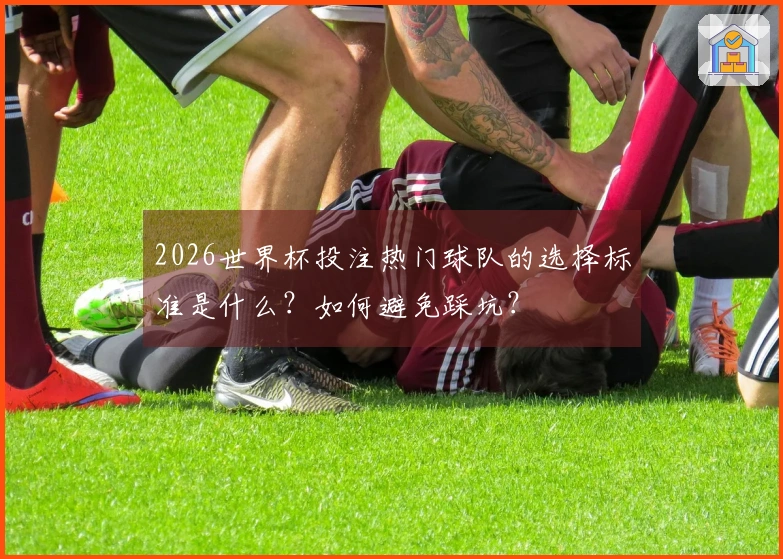 2026世界杯投注热门球队的选择标准是什么？如何避免踩坑？